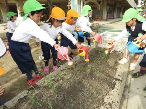 http://blog.suita.ed.jp/kin/02-dai3/youtien/11.28mizuyari.jpg