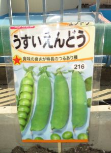 http://blog.suita.ed.jp/kin/02-dai3/youtien/11.28uauiendou.jpg
