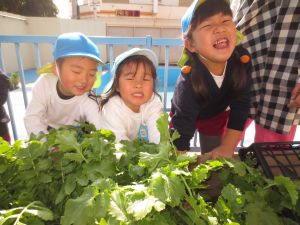 http://blog.suita.ed.jp/kin/02-dai3/youtien/2%2C28rinakatati.jpg