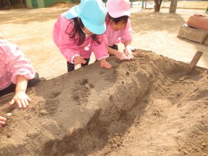 http://blog.suita.ed.jp/kin/02-dai3/youtien/2.24jagaimoue2.jpg