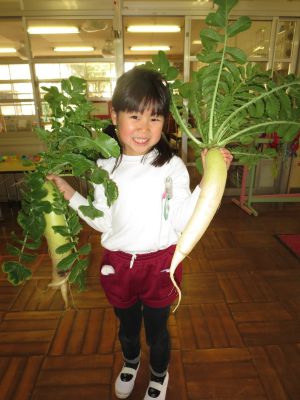 http://blog.suita.ed.jp/kin/02-dai3/youtien/3.12sioridaioon.jpg