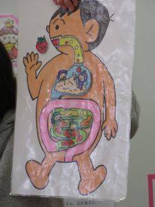 http://blog.suita.ed.jp/kin/02-dai3/youtien/3.2onakanonaka.jpg