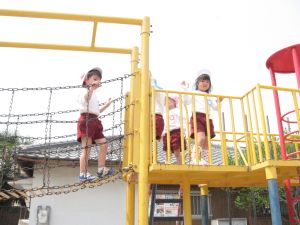 4saisannpohimawari.jpg