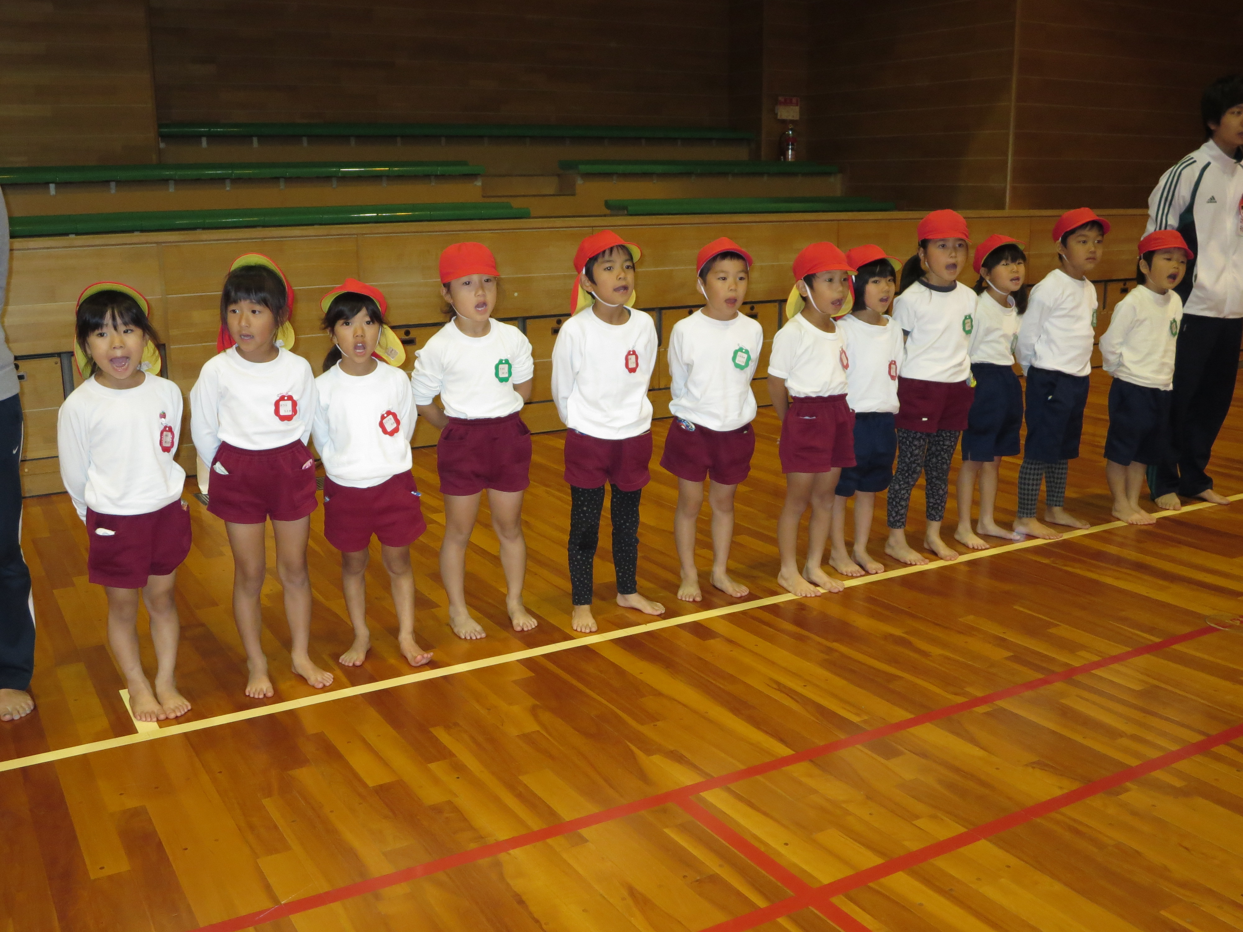 http://blog.suita.ed.jp/kin/02-dai3/youtien/IMG_0317.JPG