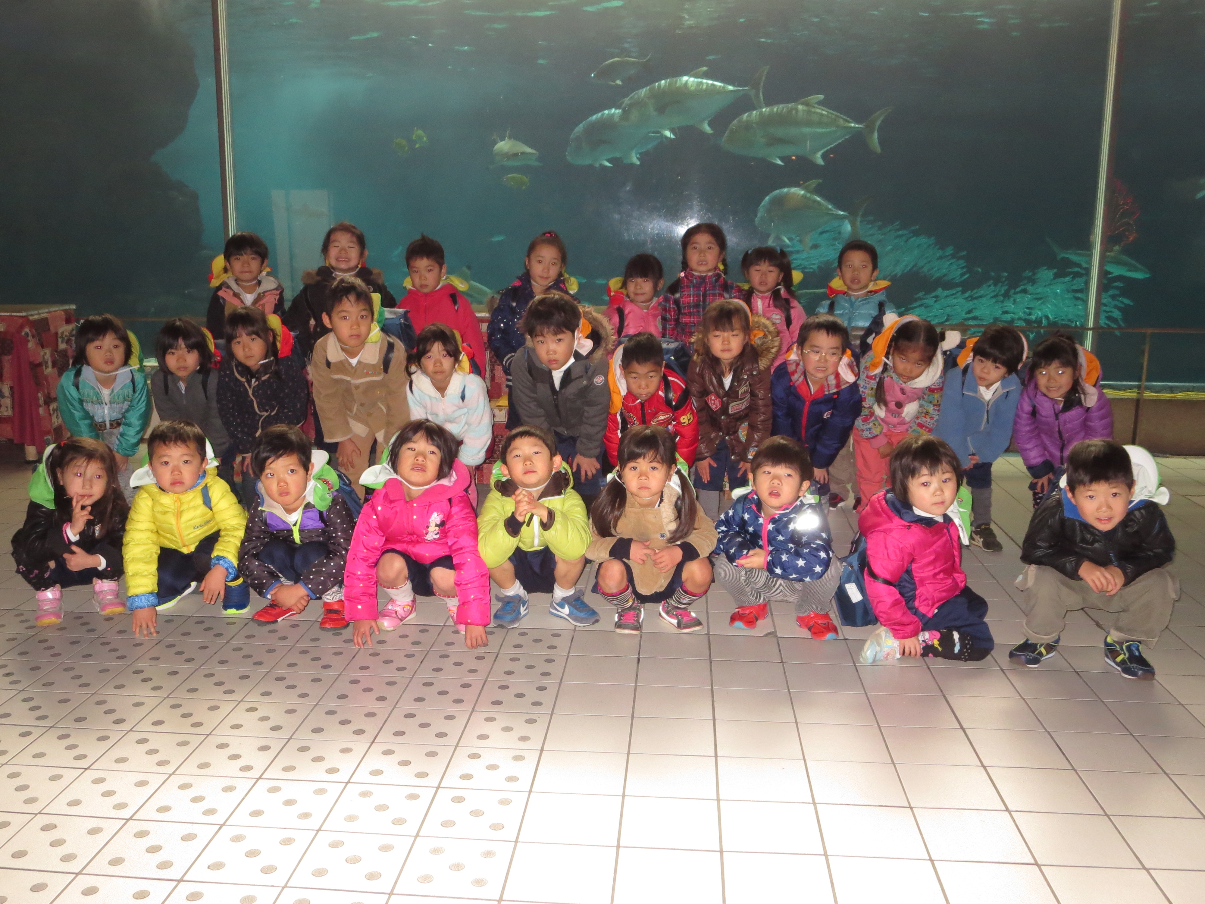 http://blog.suita.ed.jp/kin/02-dai3/youtien/IMG_2729.JPG
