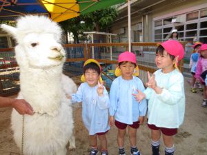 http://blog.suita.ed.jp/kin/02-dai3/youtien/arupaka3ninn.jpg