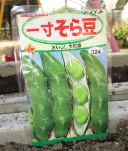 11.28soramame.jpg