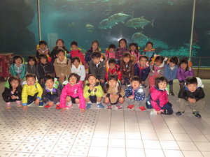 IMG_2729.JPG