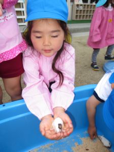 http://blog.suita.ed.jp/kin/02-dai3/youtien/hatukanezumi.jpg