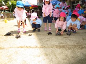 http://blog.suita.ed.jp/kin/02-dai3/youtien/kamere-su.jpg