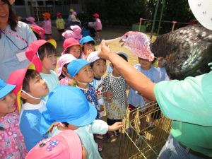 http://blog.suita.ed.jp/kin/02-dai3/youtien/sitimenntyou.jpg