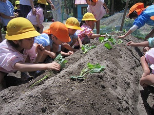 IMG_0021001.jpg