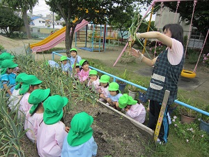 IMG_0090001.jpg