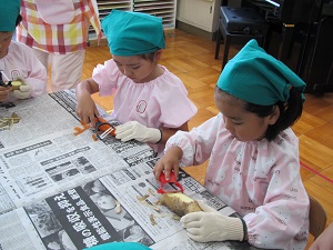 IMG_1918286.jpg