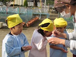 IMG_3491291.jpg