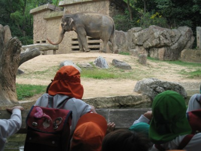 動物園１.jpg